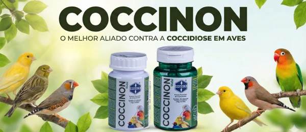 Promoção
