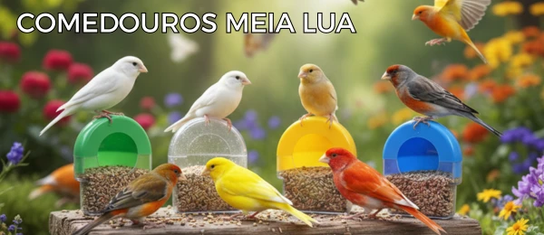 Promoção