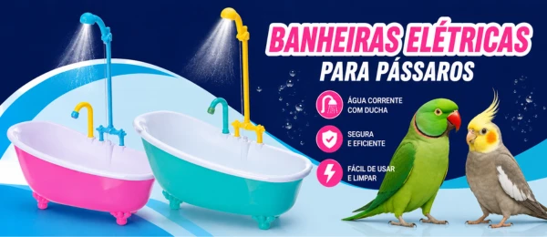 Promoção
