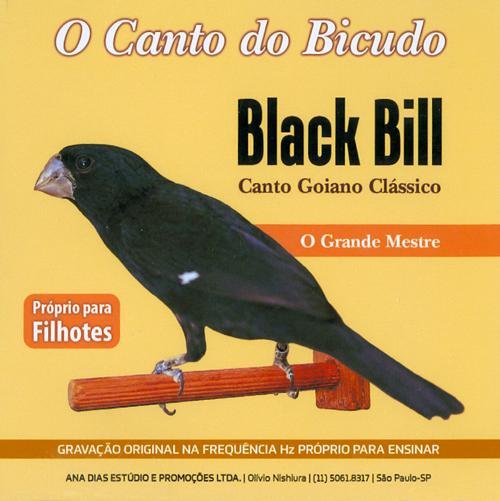 CD - O Canto do Bicudo - Black Bill - imagem 1