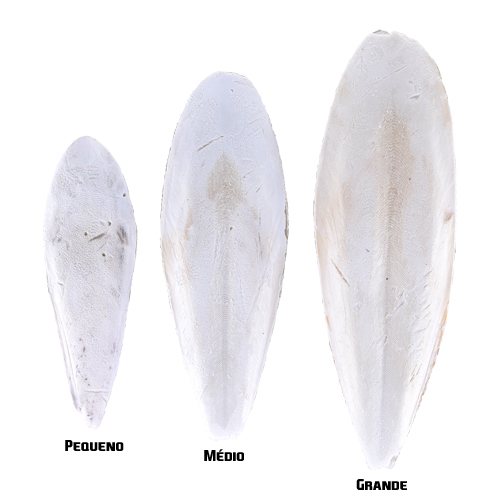 Osso de Siba - Médio - Caixa com 2 kg - imagem 1