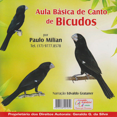 CD - Aula Básica de Canto de Bicudos - imagem 1