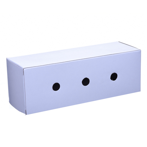 Transporte de Papelão - para Calopsita - imagem 1