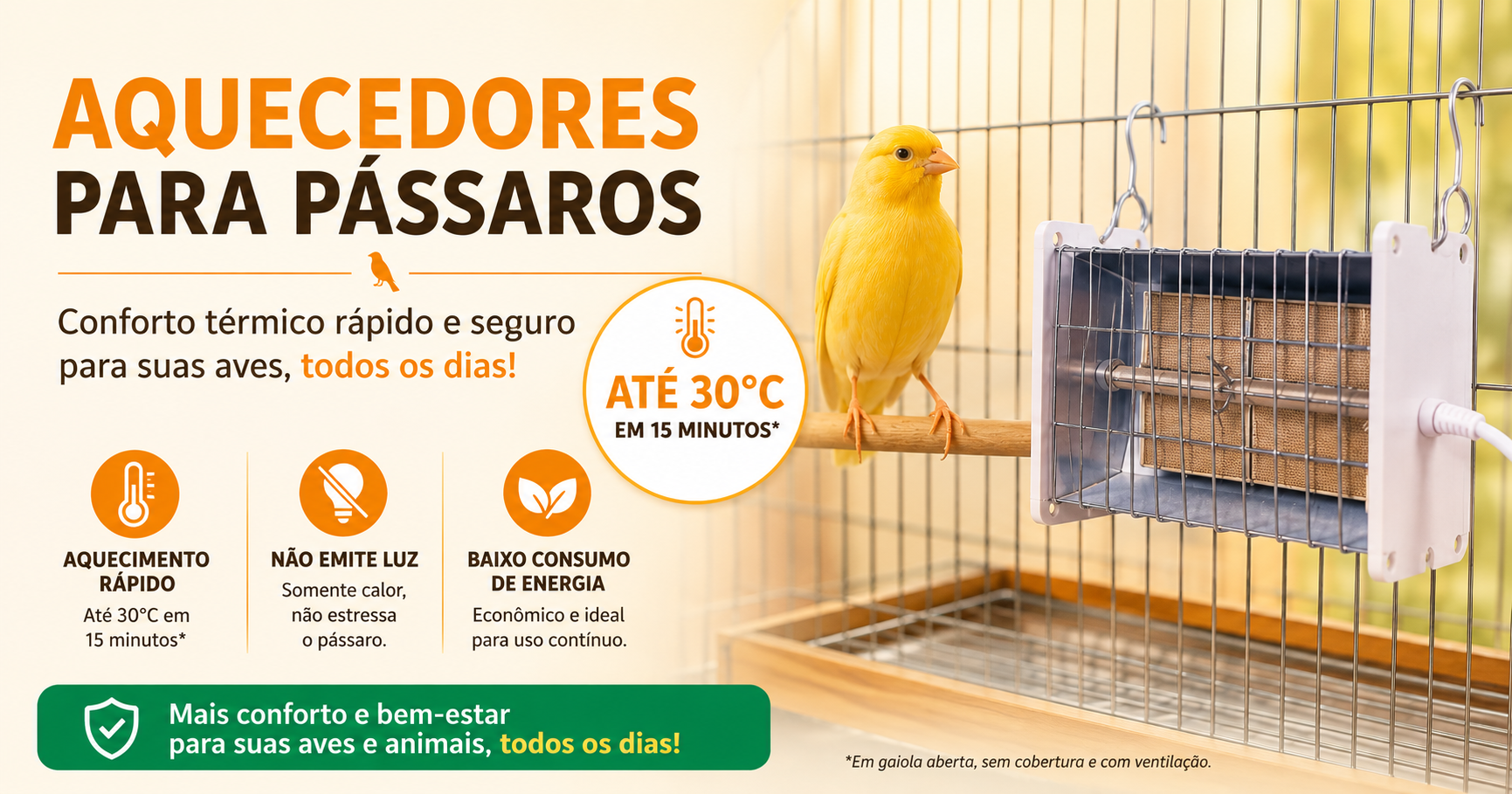 Aquecedores para Pássaros: Como Proteger Suas Aves do Frio com Segurança