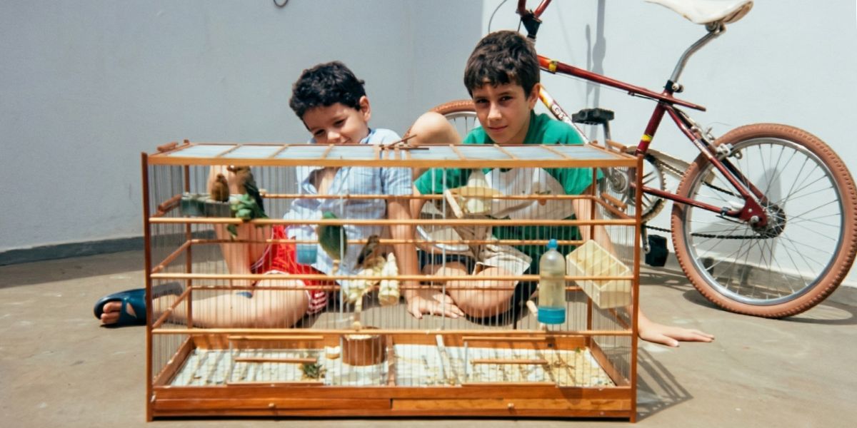 Evandro e seu irmao na infancia com gaiola criadeira de curio