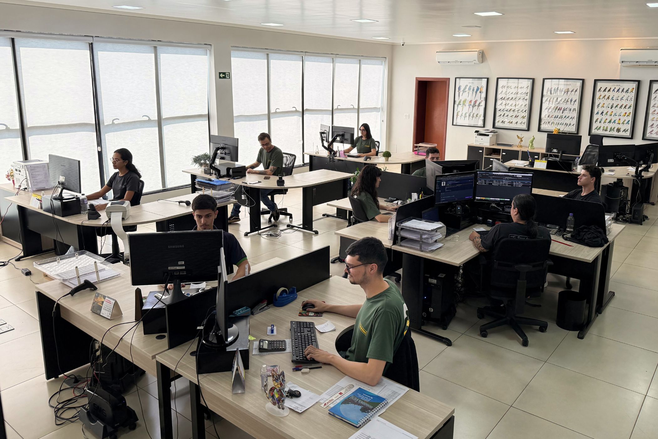 Setor administrativo Terra dos Passaros