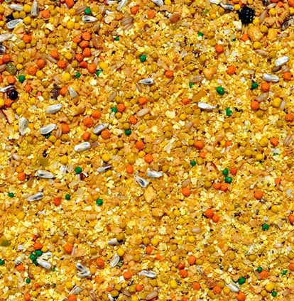 Raposo - Farinhada para Trinca Ferro - Linha Nobre - 500g - imagem 2