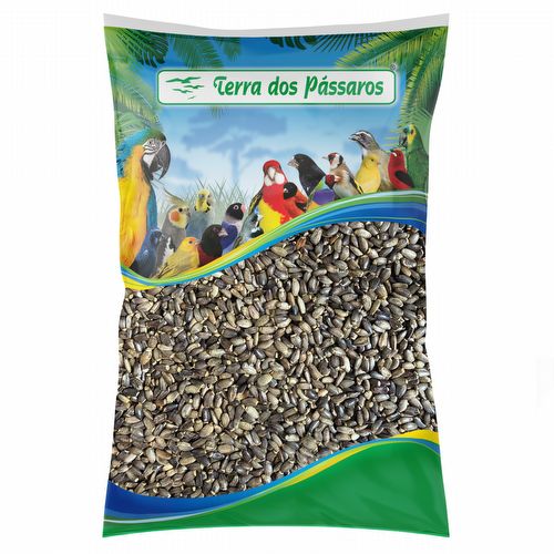 Semente de Cardo Mariano - Silimarina - 5kg - imagem 1