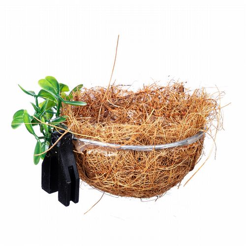 Ninho para Criação de Coleiro - Natural Fibra - Folhas E Presilha - imagem 1