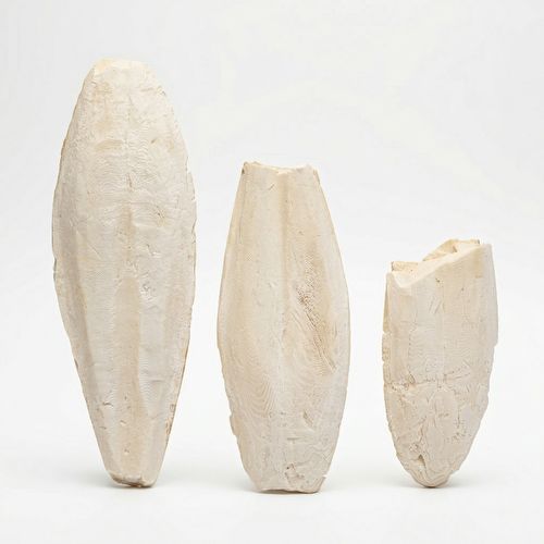 Osso de Siba - Super Branco - Tailandês - 2kg - imagem 1