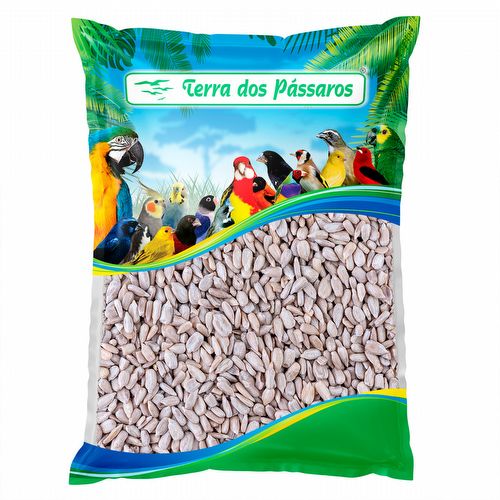 Girassol Descascado - Importado - 500g - imagem 1