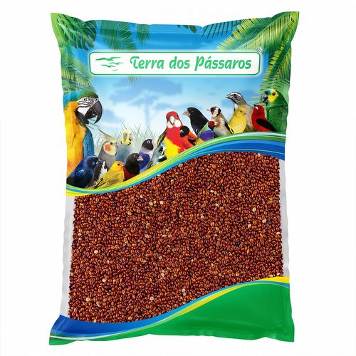 Painço Vermelho - 500g - imagem 1