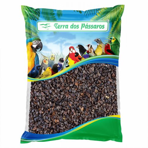 Trigo Sarraceno - 500g - imagem 1