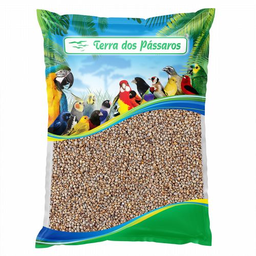 Painço Milheto Nacional - 500g - imagem 1