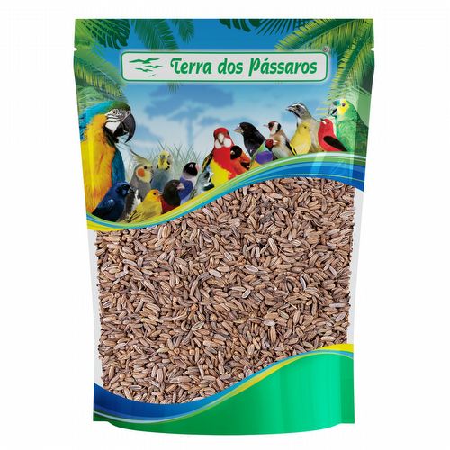 Semente de Funcho - 100g - imagem 1