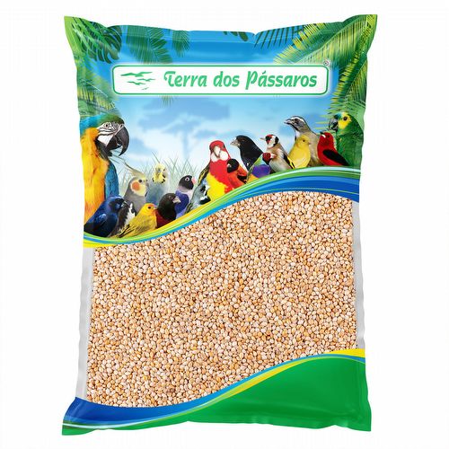 Painço - 500g - imagem 1
