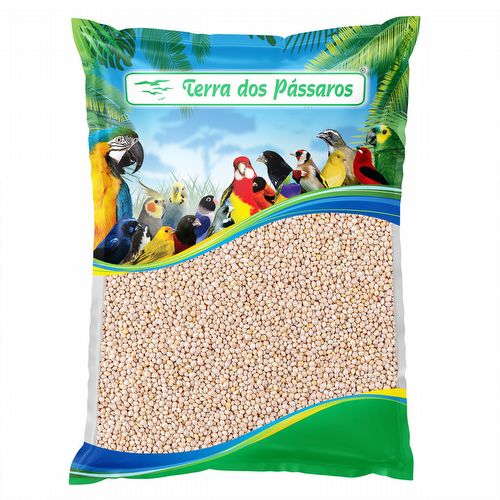 Painço Branco - Alemão - 500g - imagem 1
