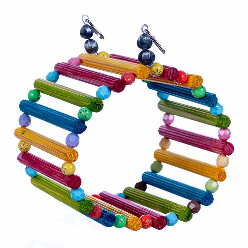 Brinquedo Play Redondo para Calopsita - Ring Neck - imagem 1