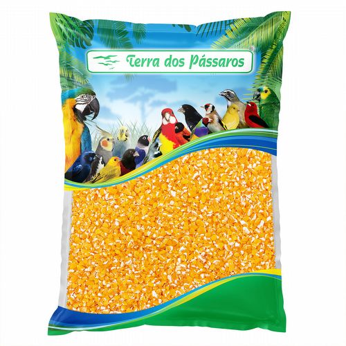 Quirera de Milho - Grossa - G3 Especial - 500g - imagem 1