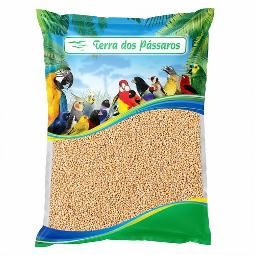Painço Cearense - 500g - imagem 1