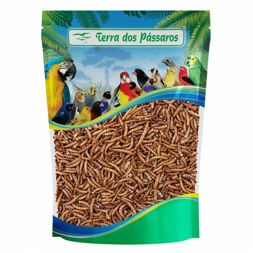 Tenébrio Comum Desidratado - Pequeno - 10g - imagem 1