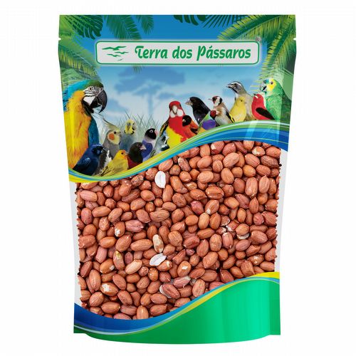 Amendoim sem casca - 100g - imagem 1