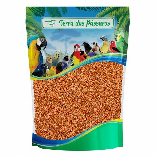 Painço Português Salmão - 200g - imagem 1