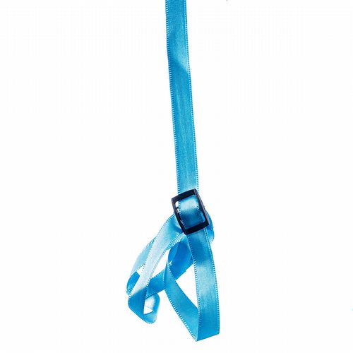 Guia e Peitoral H para Calopsita - Azul - imagem 1
