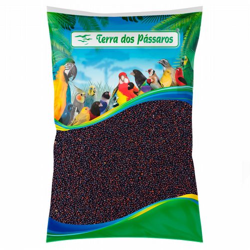 Colza - 10 kg - imagem 1