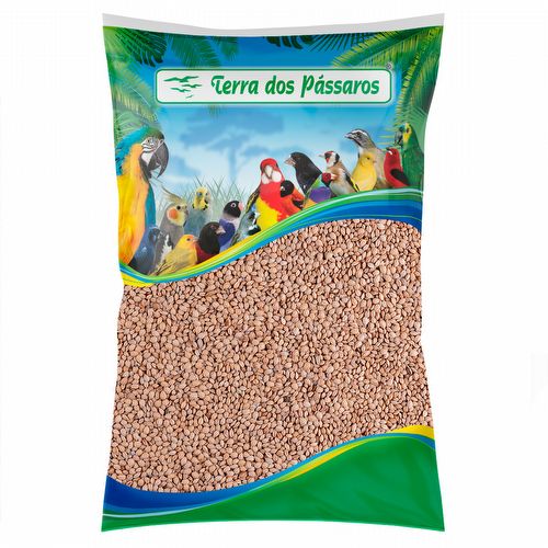 Arroz Japonês Pacholinha - Bolinha - 25 kg - imagem 1