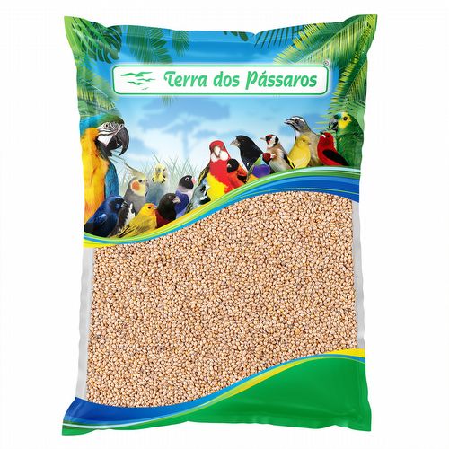 Painço Nordestino - 5kg - imagem 1