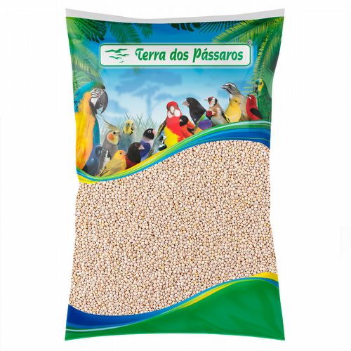 Painço Branco - Alemão - 10 kg - imagem 1