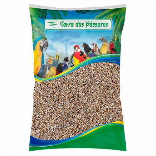 Painço Milheto Nacional - 40 kg - imagem 1