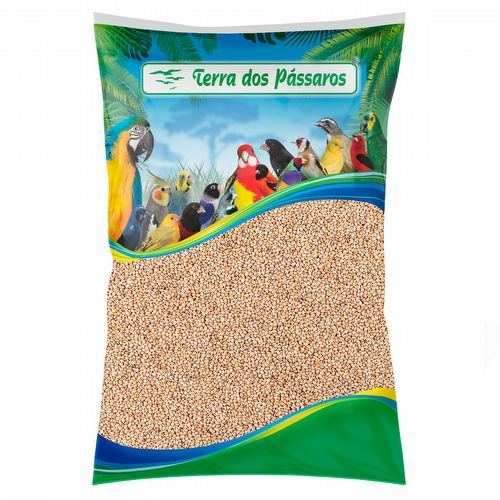 Painço Português - 2,5 kg - imagem 1
