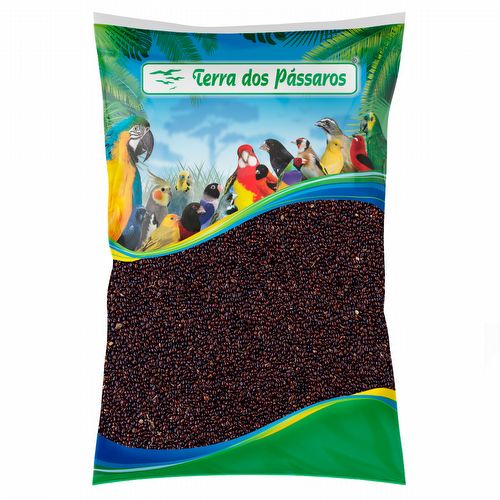 Painço Preto - 2,5 kg - imagem 1