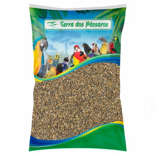 Painço Verde Extra - 2,5 kg - imagem 1