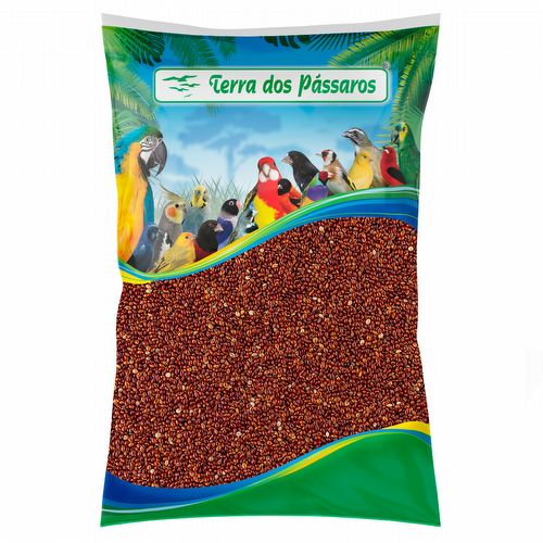 Painço Vermelho - 2,5 kg - imagem 1