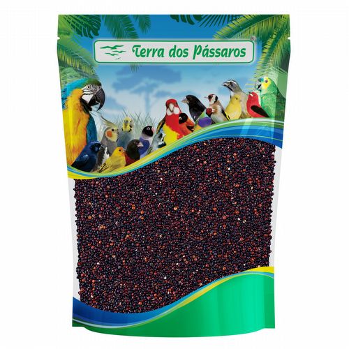 Quinoa Preta - 500g - imagem 1