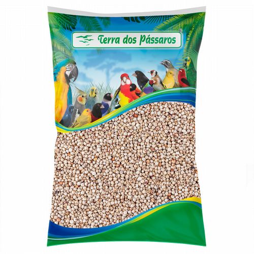 Sorgo Branco - 2,5 kg - imagem 1