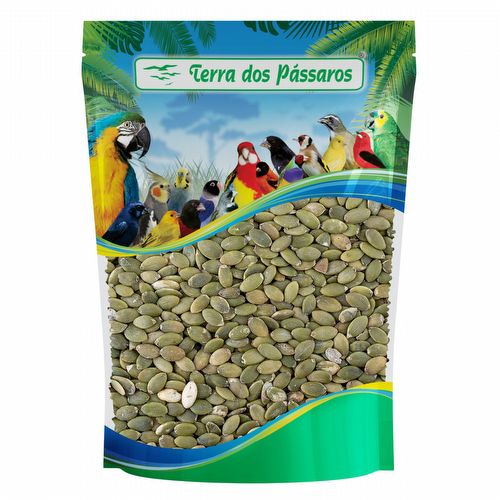 Semente de Abóbora Crua sem Casca - 500g - imagem 1