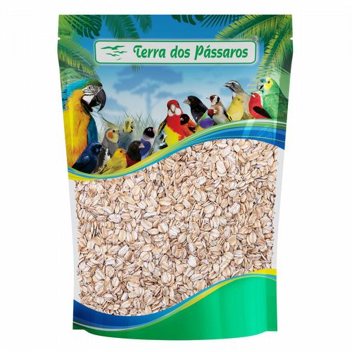 Semente de Aveia em Flocos Grossos - 500g - imagem 1