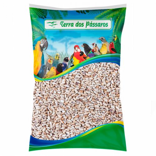 Cártamo - 5 kg - imagem 1