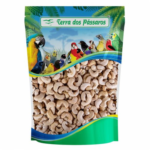 Castanha de caju - crua - 100g - imagem 1