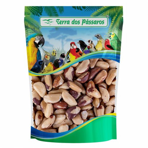 Castanha do Pará sem casca - Tipo Large - 100g - imagem 1