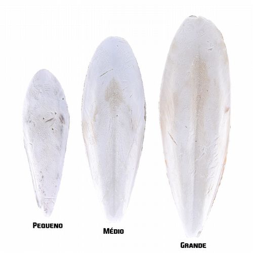Osso de Siba - Grande - Caixa com 1 kg - imagem 1