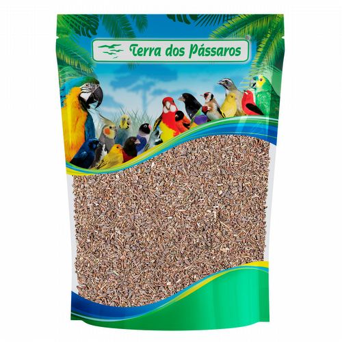 Erva Doce - Semente de Aniz - 100g - imagem 1