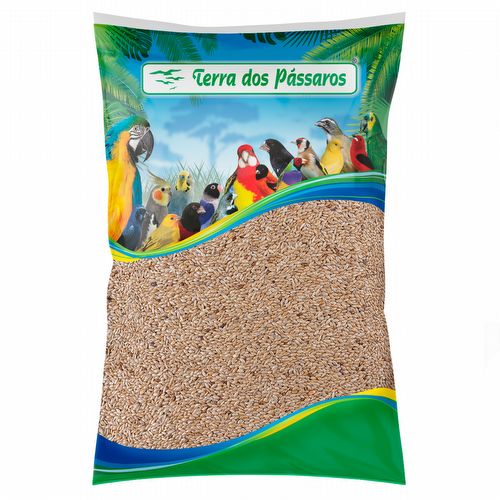 Alpiste com Óleo de Fígado de Bacalhau - 5kg - imagem 1