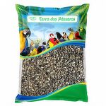 Semente de Cardo Mariano - Silimarina - 500g