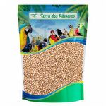 Semente de Cevadinha Integral - 500g