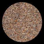 Mistura Pássaros da Terra - Sementes Integrais - 500g - imagem 2